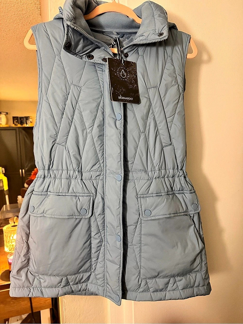 Hooded Vest